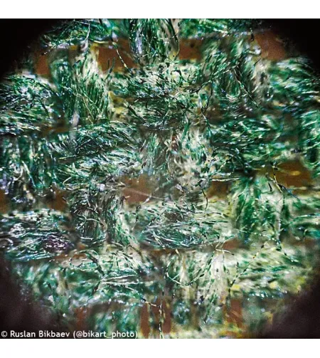 Mikroskops ar Eksperimentālo Komplektu K50 Levenhuk Rainbow 50L PLUS Laima krāsā 64x - 128