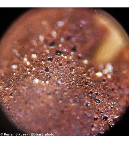 Mikroskoop Levenhuk Rainbow 50L PLUS Oranž  64x–1280x koos eksperimentaalse komplektiga K5