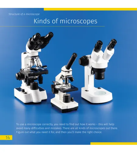 Invisible World. Knowledge book