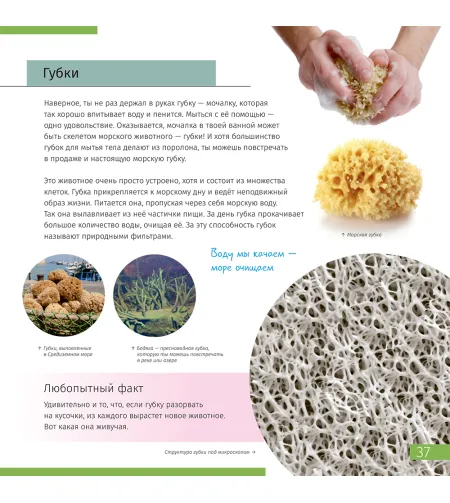 Grāmata ceļo ar mikroskopu '' Neredzamās pasaule'' rus. ( Невидимый мир. Книга знаний Leve