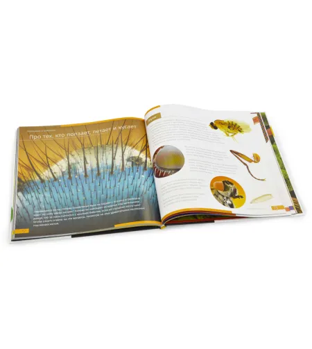 Grāmata ceļo ar mikroskopu '' Neredzamās pasaule'' rus. ( Невидимый мир. Книга знаний Leve