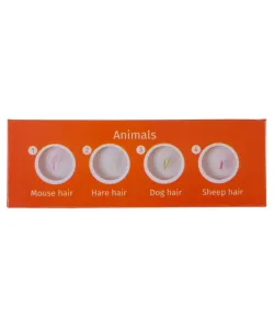 Sagatavoto slaidu komplekts Levenhuk LabZZ C12 Dzīvnieki