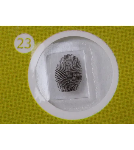 Levenhuk LabZZ P12 Plants Prepared Slides Set