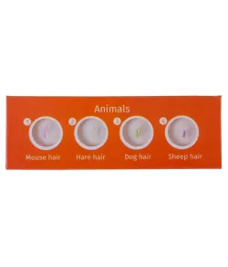 Набор микропрепаратов Levenhuk LabZZ CP24, существа и растения