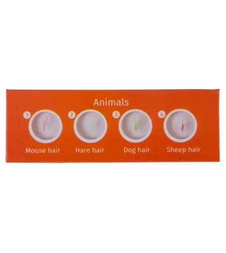 Paruoštas skaidrių rinkinys Levenhuk LabZZ CP24 Būtybės ir augalai