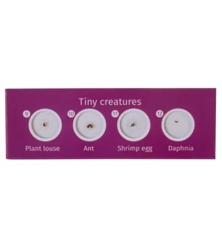 Paruoštas skaidrių rinkinys Levenhuk LabZZ CP24 Būtybės ir augalai
