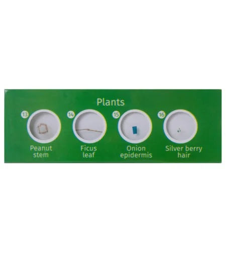 Paruoštas skaidrių rinkinys Levenhuk LabZZ CP24 Būtybės ir augalai