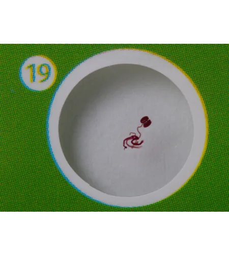 Paruoštas skaidrių rinkinys Levenhuk LabZZ CP24 Būtybės ir augalai