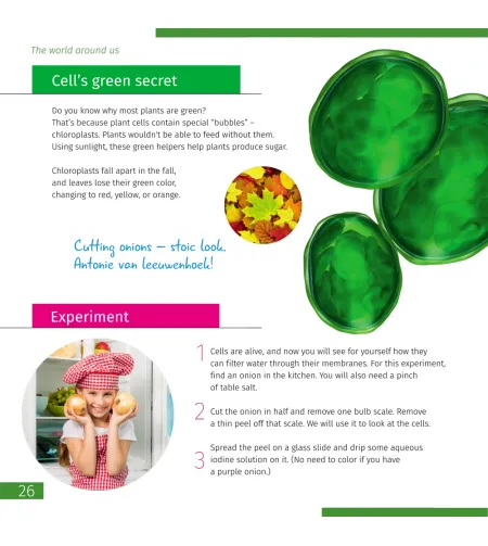 Микроскоп Discovery Micro Gravity 40x-640x с книгой