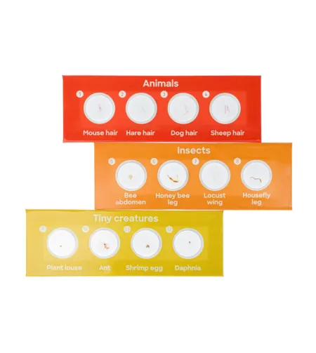 Discovery Fauna 12 Mikroskoobi slaidide valmistamine