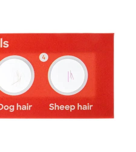 Discovery Fauna 12 Mikroskoobi slaidide valmistamine