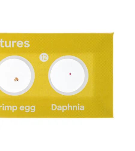 Discovery Flora & Fauna 24 Sagatavoti mikroskopa priekšmetst