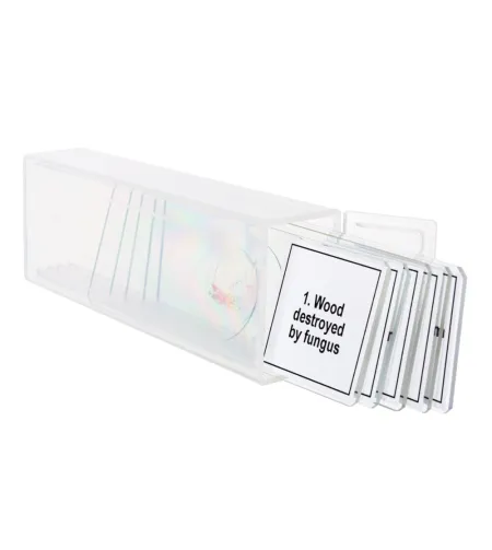 Discovery Prof specimens DPS 5. "Mutatsioonid"