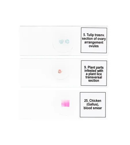 Mikropreparātu komplekts Discovery Prof DPS 25. "Bioloģija, putni u.c."