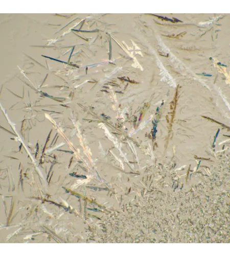 MAGUS Bio 230T Biological Microscope