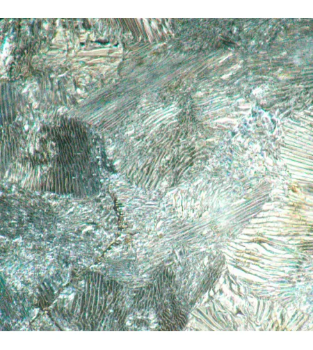 MAGUS Metal 630 BD Metallurgical Microscope