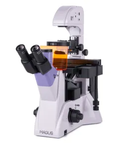 MAGUS Lum V500 Fluorescence Inverted Microscope