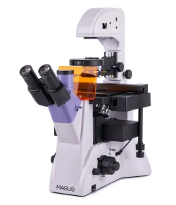 MAGUS Lum V500L Fluorescence Inverted Microscope