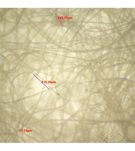 MAGUS Stereo 9T Stereoscopic Microscope