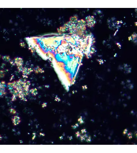 MAGUS Pol 850 Polarizing Microscope