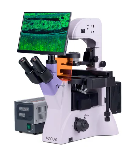 Микроскоп люминесцентный инвертированный цифровой MAGUS Lum VD500 LCD