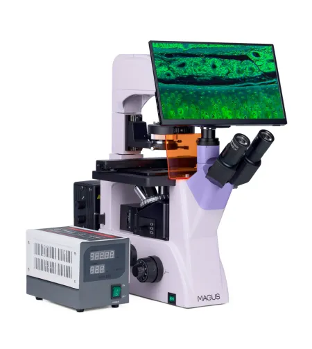 Микроскоп люминесцентный инвертированный цифровой MAGUS Lum VD500 LCD