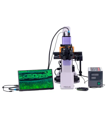 Микроскоп люминесцентный инвертированный цифровой MAGUS Lum VD500 LCD