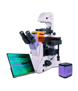 MAGUS Lum VD500L LCD Fluorescence Inverted Digital Microscope