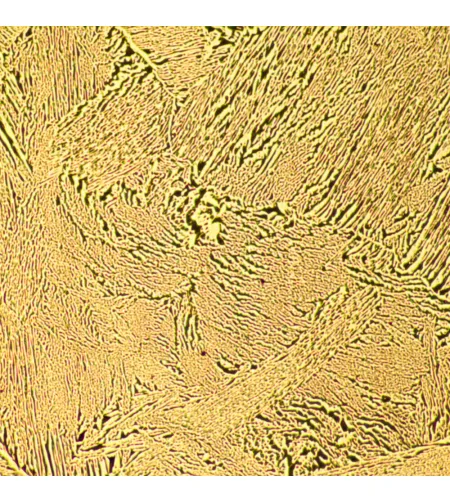 MAGUS Metal D600 metalurginis skaitmeninis mikroskopas