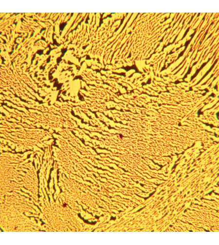 MAGUS Metal D600 LCD metalurginis skaitmeninis mikroskopas