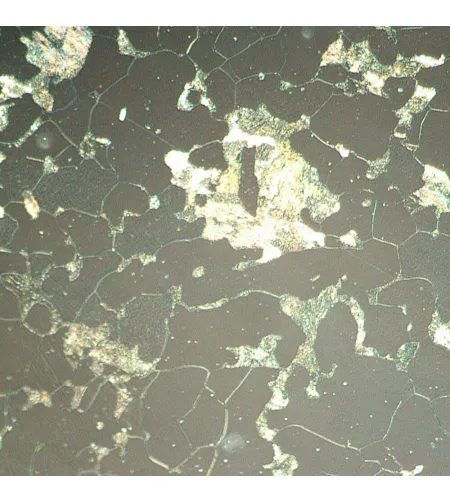 MAGUS Metal D630 Metallurgical Digital Microscope