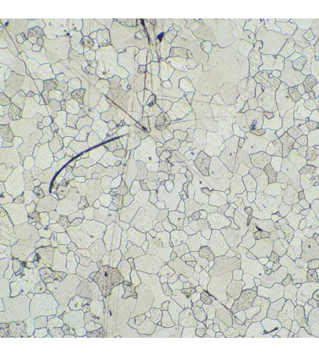 MAGUS Metal D630 Metallurgical Digital Microscope