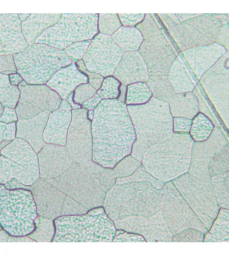 MAGUS Metal D630 Metallurgical Digital Microscope