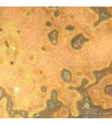 MAGUS Metal D650 Metallurgical Digital Microscope