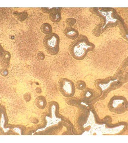 Digitaalne metallograafiline mikroskoop MAGUS Metal D650 LCD