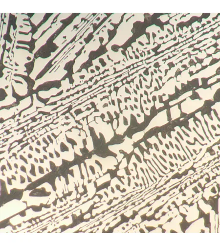 MAGUS Metal D650 BD LCD металлургический цифровой микроскоп