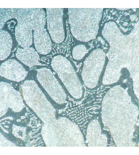 MAGUS Metal VD700 Metallurgical Inverted Digital Microscope