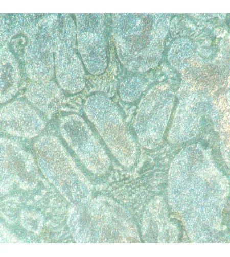 MAGUS Metal VD700 LCD Metallurgical Inverted Digital Microscope