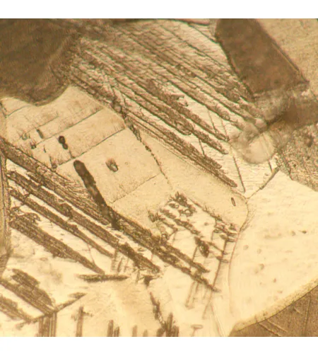 MAGUS Metal VD700 BD Metallurgical Inverted Digital Microscope