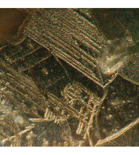 MAGUS Metal VD700 BD Metallurgical Inverted Digital Microscope