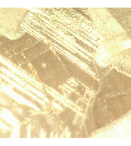 MAGUS Metal VD700 BD Metallurgical Inverted Digital Microscope