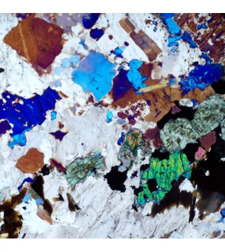 MAGUS Pol D800 Polarizing Digital Microscope