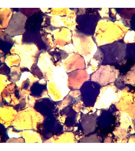 MAGUS Pol D800 Polarizing Digital Microscope