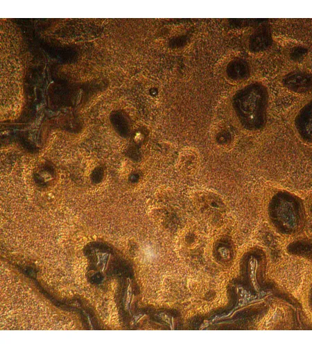 MAGUS Metal V790 DIC Metallurgical Inverted Microscope