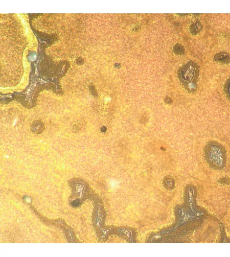 MAGUS Metal V790 DIC Metallurgical Inverted Microscope