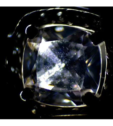 MAGUS Stereo A6 Stereomicroscope