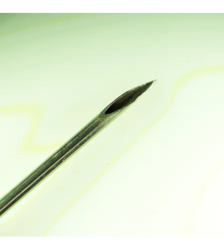 MAGUS Stereo 8T Stereomicroscope