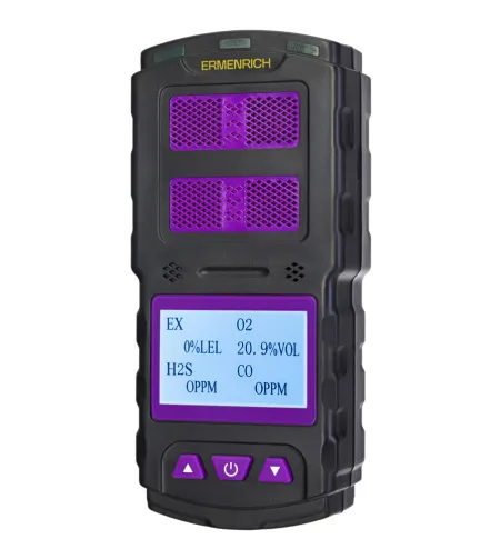 Ermenrich NG60 Gas Detector