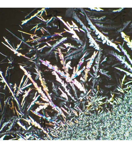 Комплект поляризатора/анализатора MAGUS SPD3