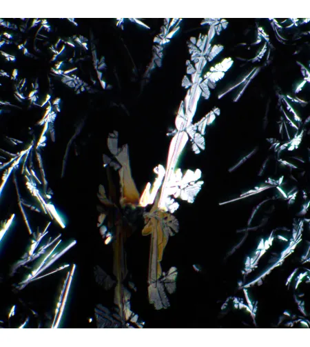 Комплект поляризатора/анализатора MAGUS SPD2